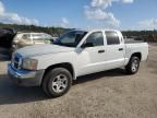 2005 Dodge Dakota Quad SLT