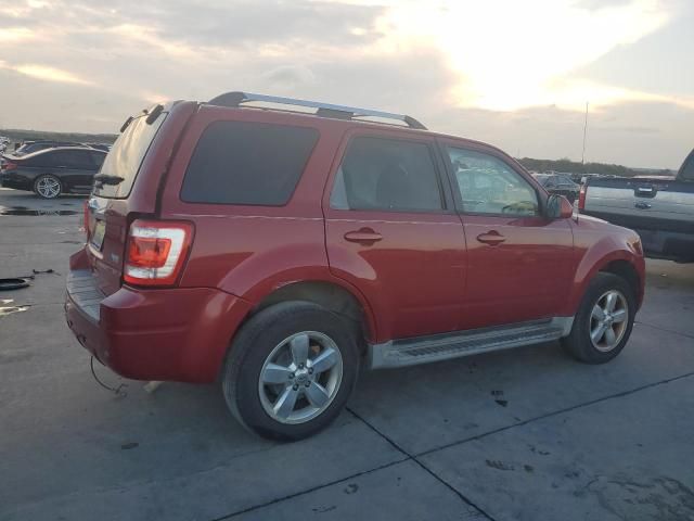 2011 Ford Escape Limited