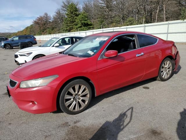 2009 Honda Accord EXL