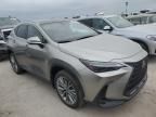 2022 Lexus NX 350H