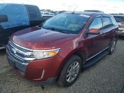 Salvage cars for sale at Riverview, FL auction: 2014 Ford Edge SEL