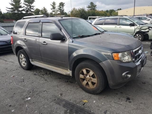 2011 Ford Escape Limited