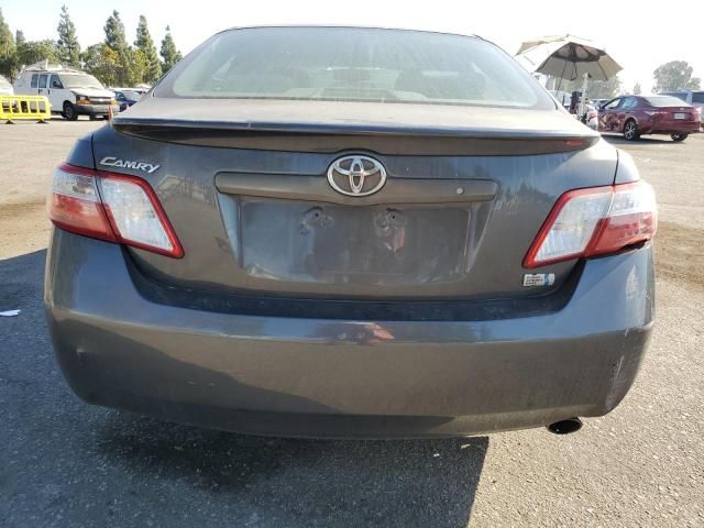 2009 Toyota Camry Hybrid