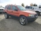 2005 Ford Escape XLS