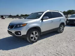 Salvage cars for sale at New Braunfels, TX auction: 2013 KIA Sorento EX