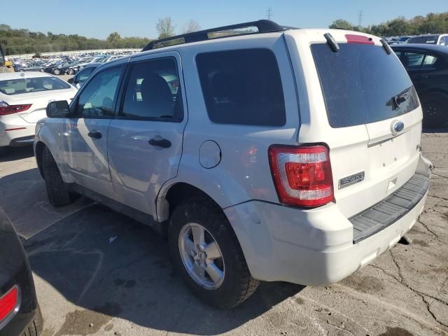 2011 Ford Escape XLS