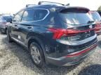 2023 Hyundai Santa FE SEL Premium