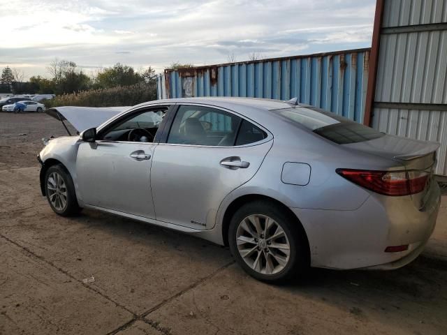 2013 Lexus ES 300H