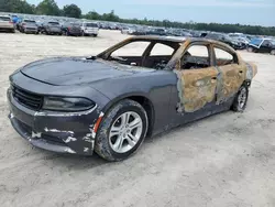 Carros salvage para piezas a la venta en subasta: 2019 Dodge Charger SXT