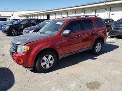 Salvage cars for sale at Louisville, KY auction: 2010 Ford Escape XLT