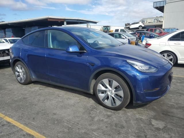 2020 Tesla Model Y