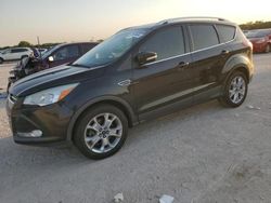 Salvage cars for sale at San Antonio, TX auction: 2014 Ford Escape Titanium