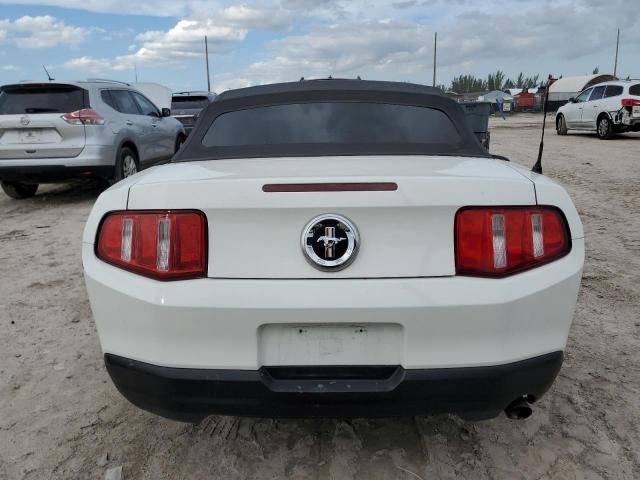 2010 Ford Mustang