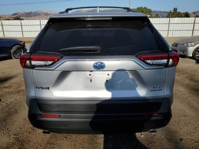 2019 Toyota Rav4 XLE