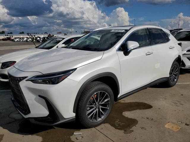 2024 Lexus NX 250 Premium