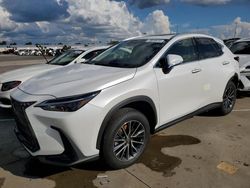 Lexus salvage cars for sale: 2024 Lexus NX 250 Premium