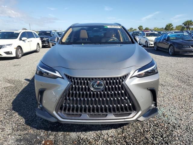 2022 Lexus NX 250