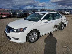 Salvage cars for sale at Helena, MT auction: 2013 Honda Accord EXL