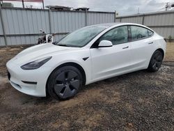 Salvage cars for sale at Kapolei, HI auction: 2023 Tesla Model 3