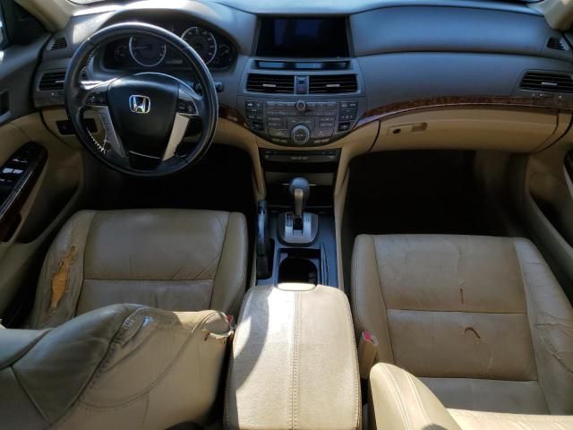 2008 Honda Accord EXL