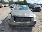 2006 Nissan Maxima SE