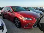 2024 Lexus ES 250 Base