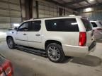 2014 Cadillac Escalade ESV Platinum