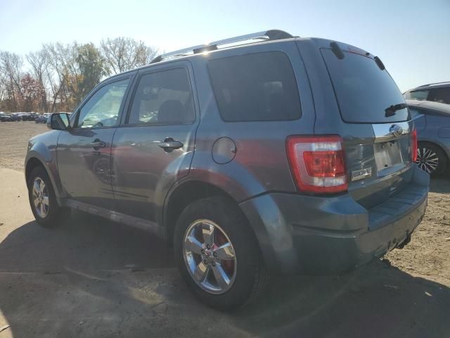 2011 Ford Escape Limited