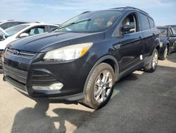 2013 Ford Escape SEL en venta en Riverview, FL