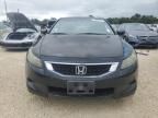 2009 Honda Accord EX