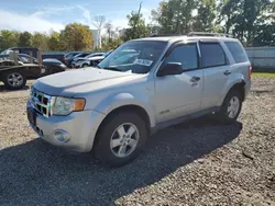 Ford salvage cars for sale: 2008 Ford Escape XLT