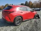 2024 Lexus NX 350H Base