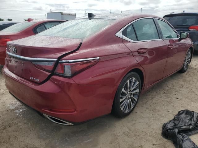 2019 Lexus ES 350