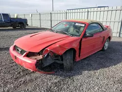 Ford salvage cars for sale: 2003 Ford Mustang