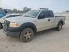 2006 Ford F150