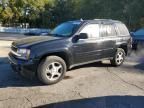 2007 Chevrolet Trailblazer LS