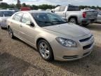 2009 Chevrolet Malibu 1LT