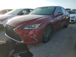 Lexus es250 salvage cars for sale: 2024 Lexus ES 250 Base