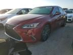 2024 Lexus ES 250 Base