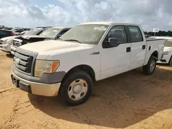 Salvage trucks for sale at Theodore, AL auction: 2009 Ford F150 Supercrew