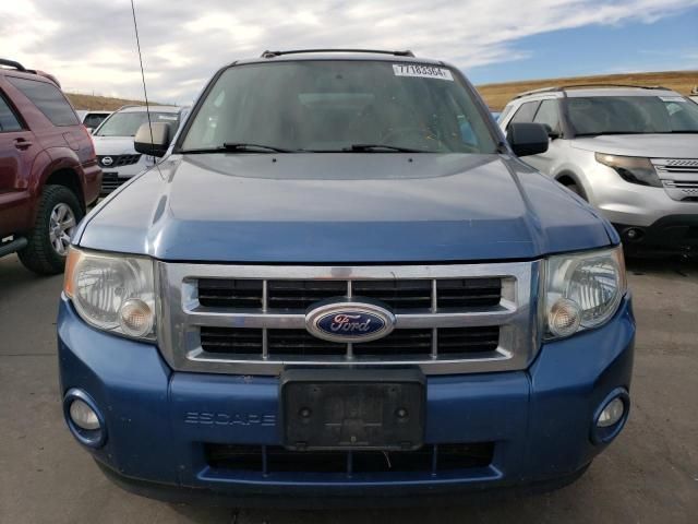 2010 Ford Escape XLT