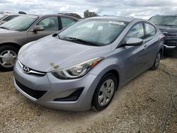 Salvage cars for sale at Arcadia, FL auction: 2016 Hyundai Elantra SE