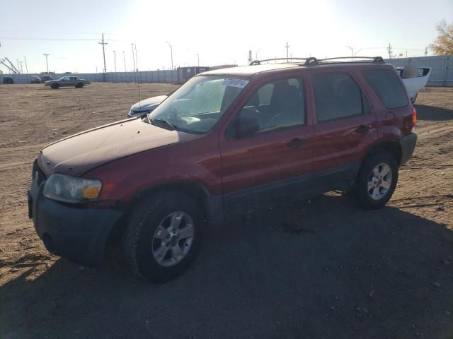 2005 Ford Escape XLT