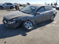 Honda Accord lxp Vehiculos salvage en venta: 2009 Honda Accord LXP