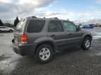 2006 Ford Escape XLT