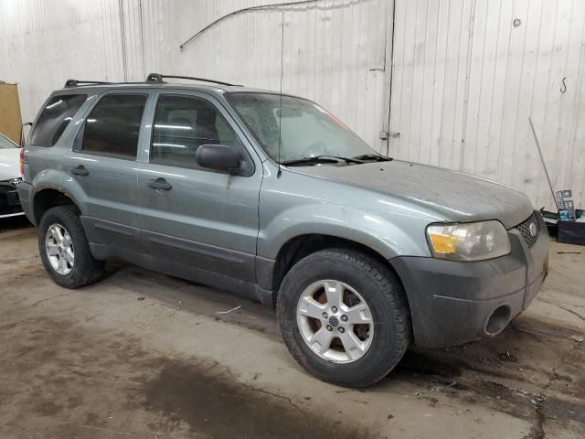 2007 Ford Escape XLT