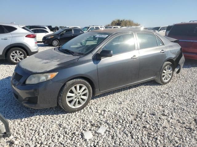 2010 Toyota Corolla Base