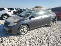 Salvage cars for sale at Taylor, TX auction: 2010 Toyota Corolla Base