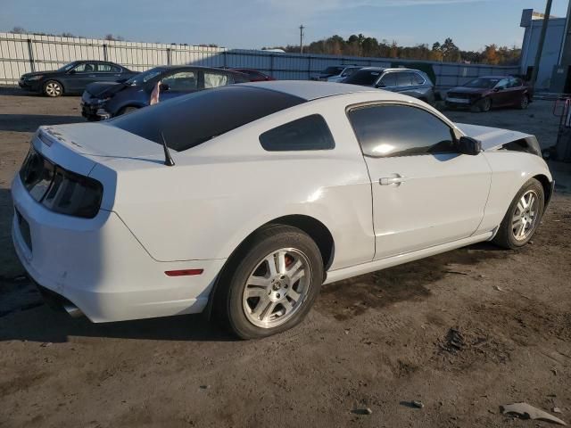 2014 Ford Mustang