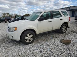 Ford Escape xls salvage cars for sale: 2012 Ford Escape XLS